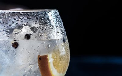 Vinepair – The 30 Best Gins for Every Budget (2020)